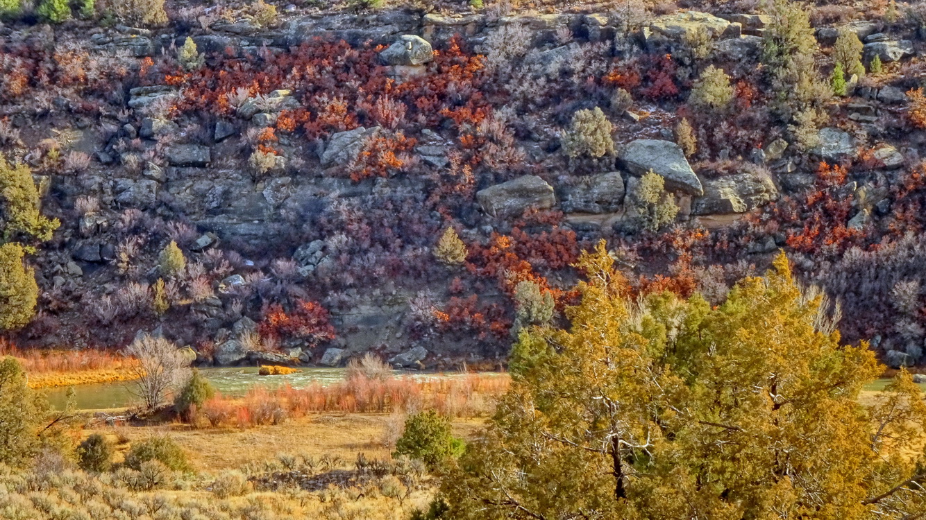 Вариант кадрирования