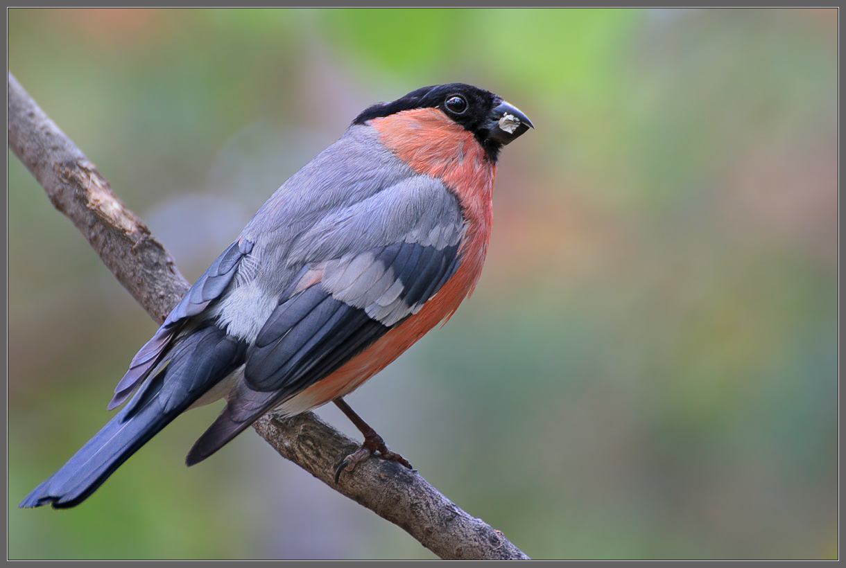 Июльским утром