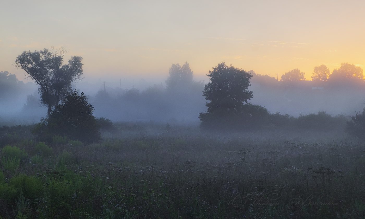 Тишина рассвета