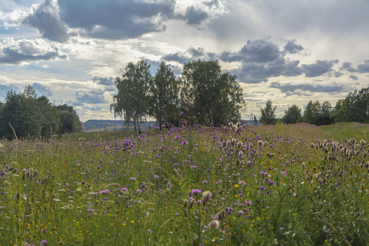 среднерусский пейзаж
