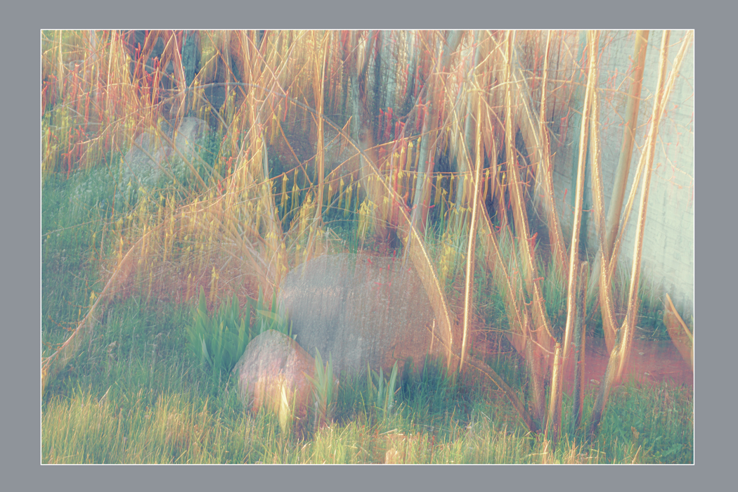 В летнем саду