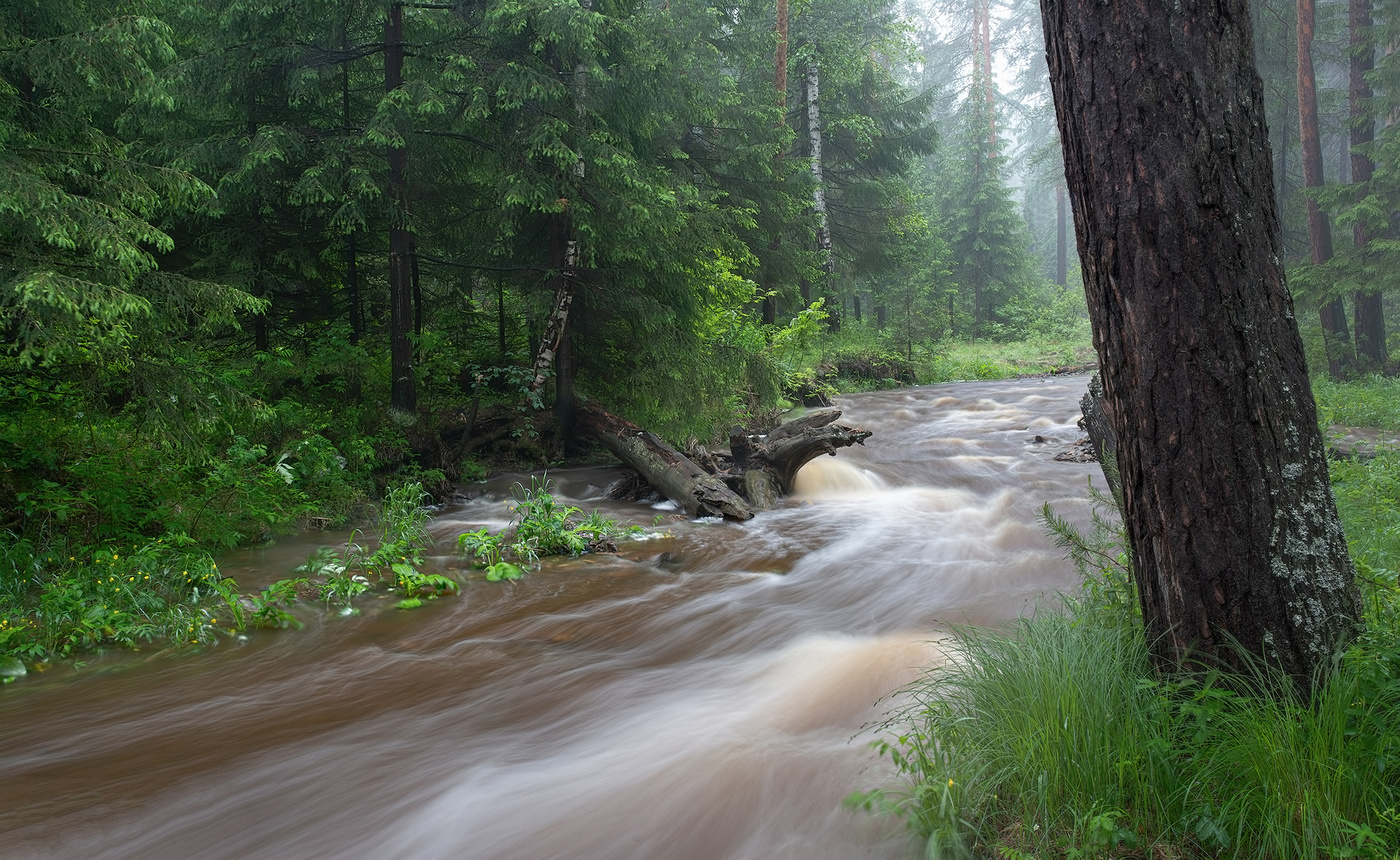 Стремительный поток