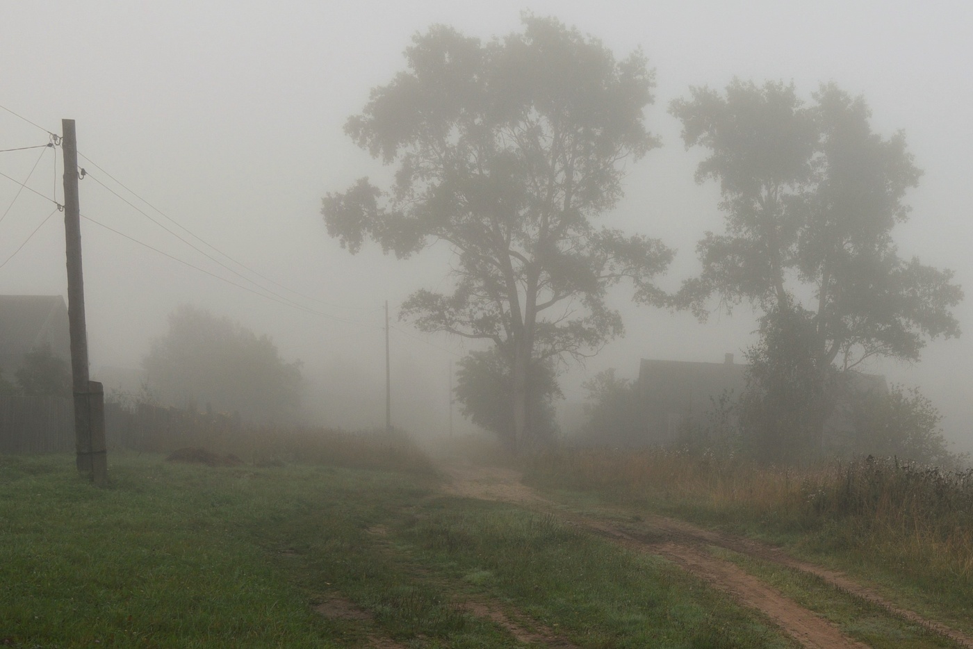 "Туман заполнил все пространство ..."