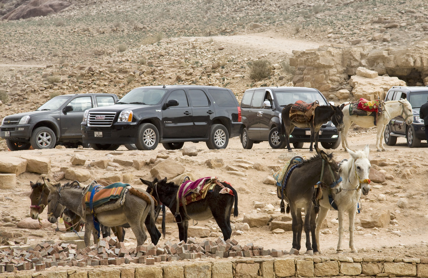 Петра и ее обитатели-7