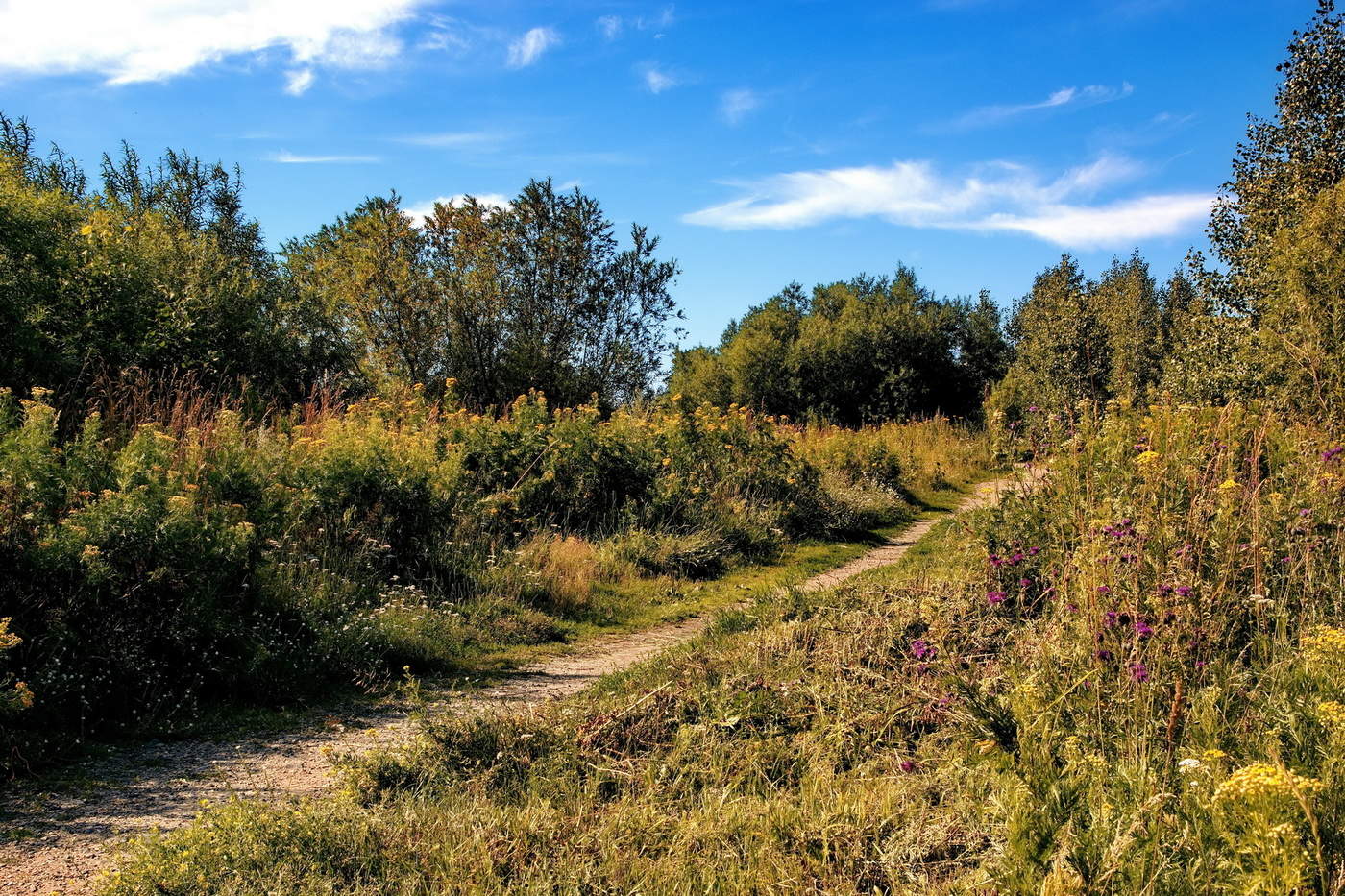 Жаркий день.