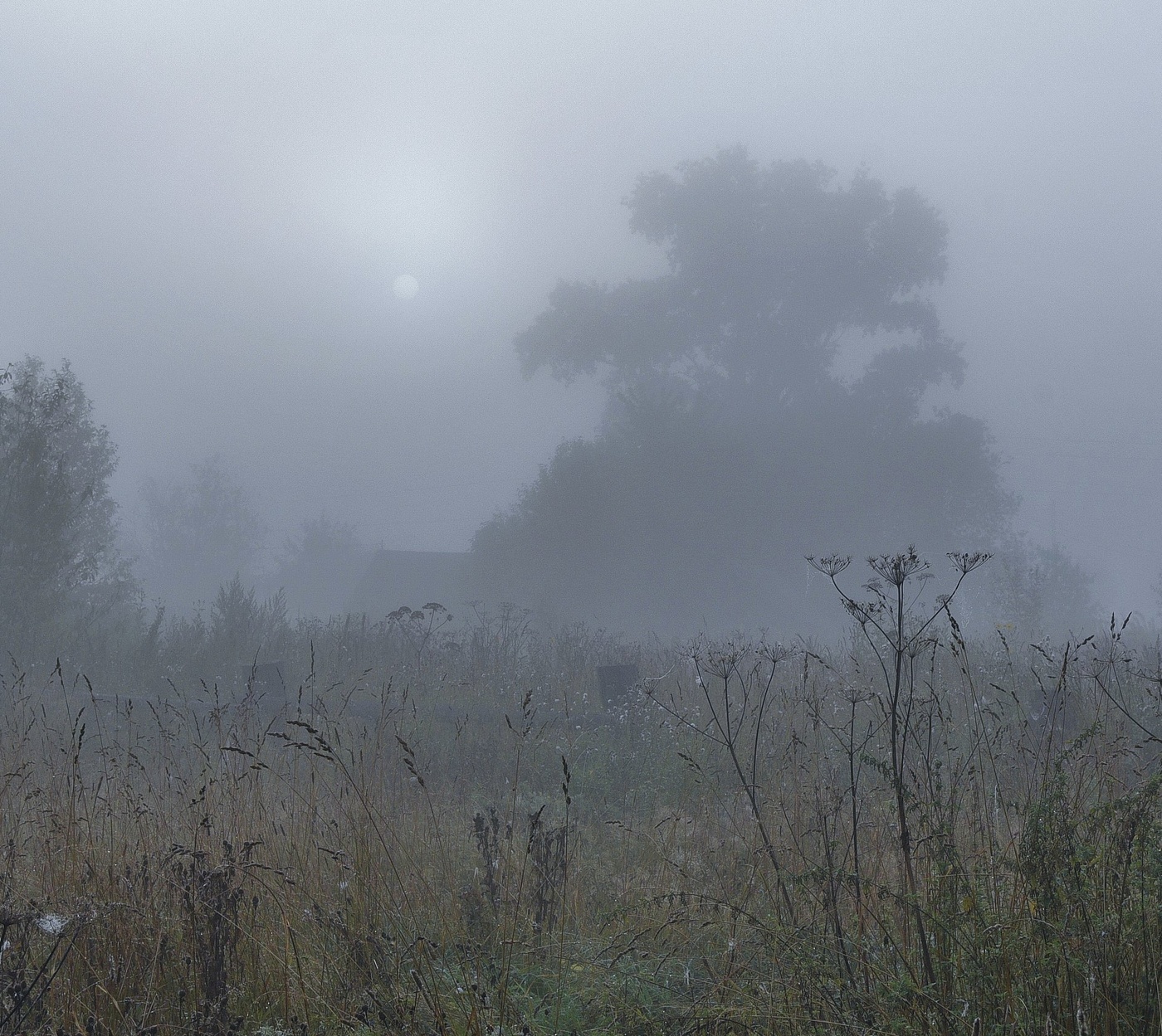 "Мир потерял свою реальность ..."