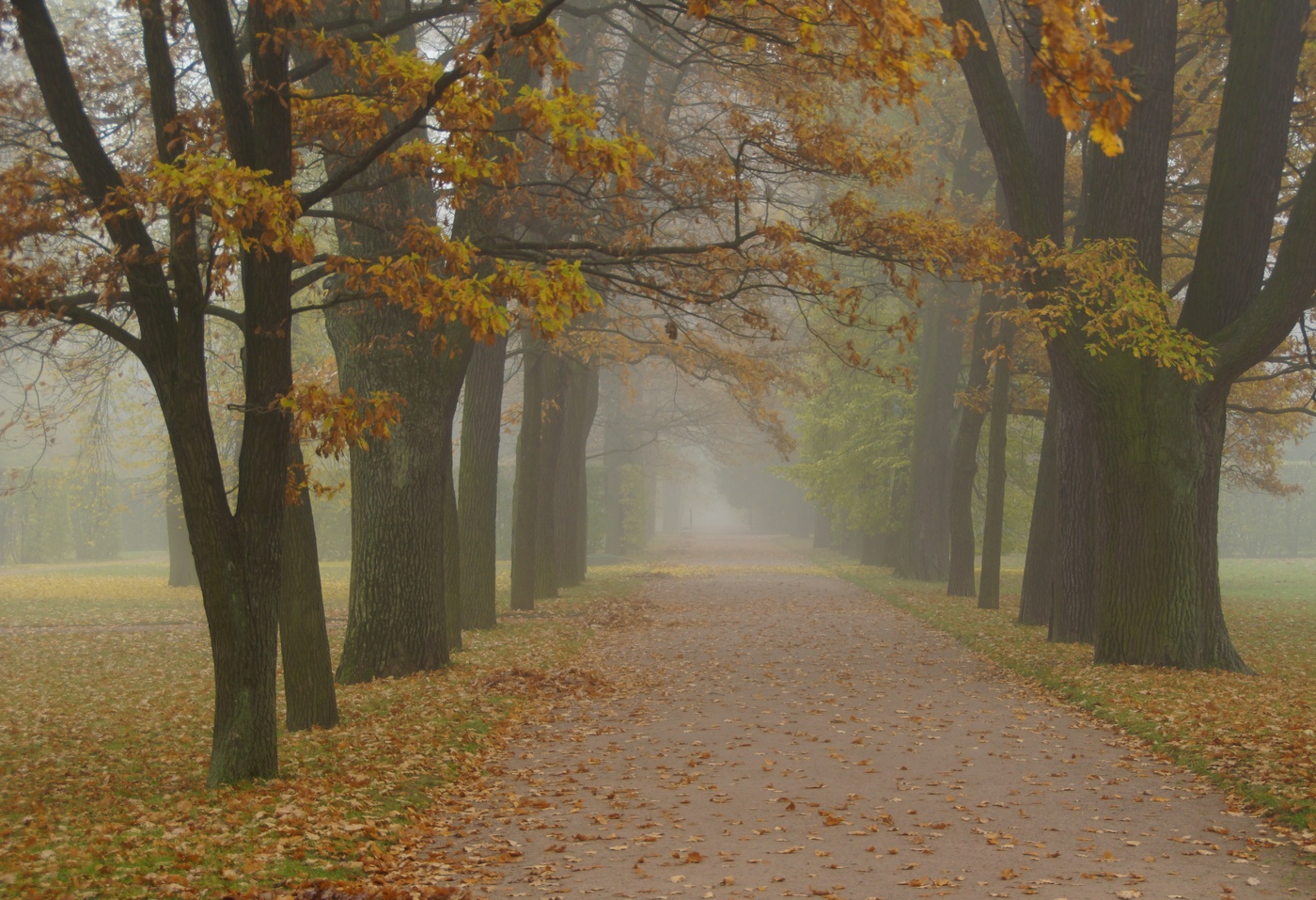 Осеннее утро