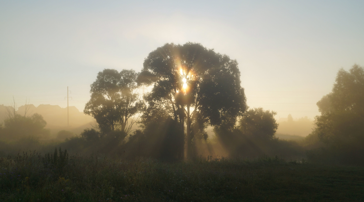 Июльское утро