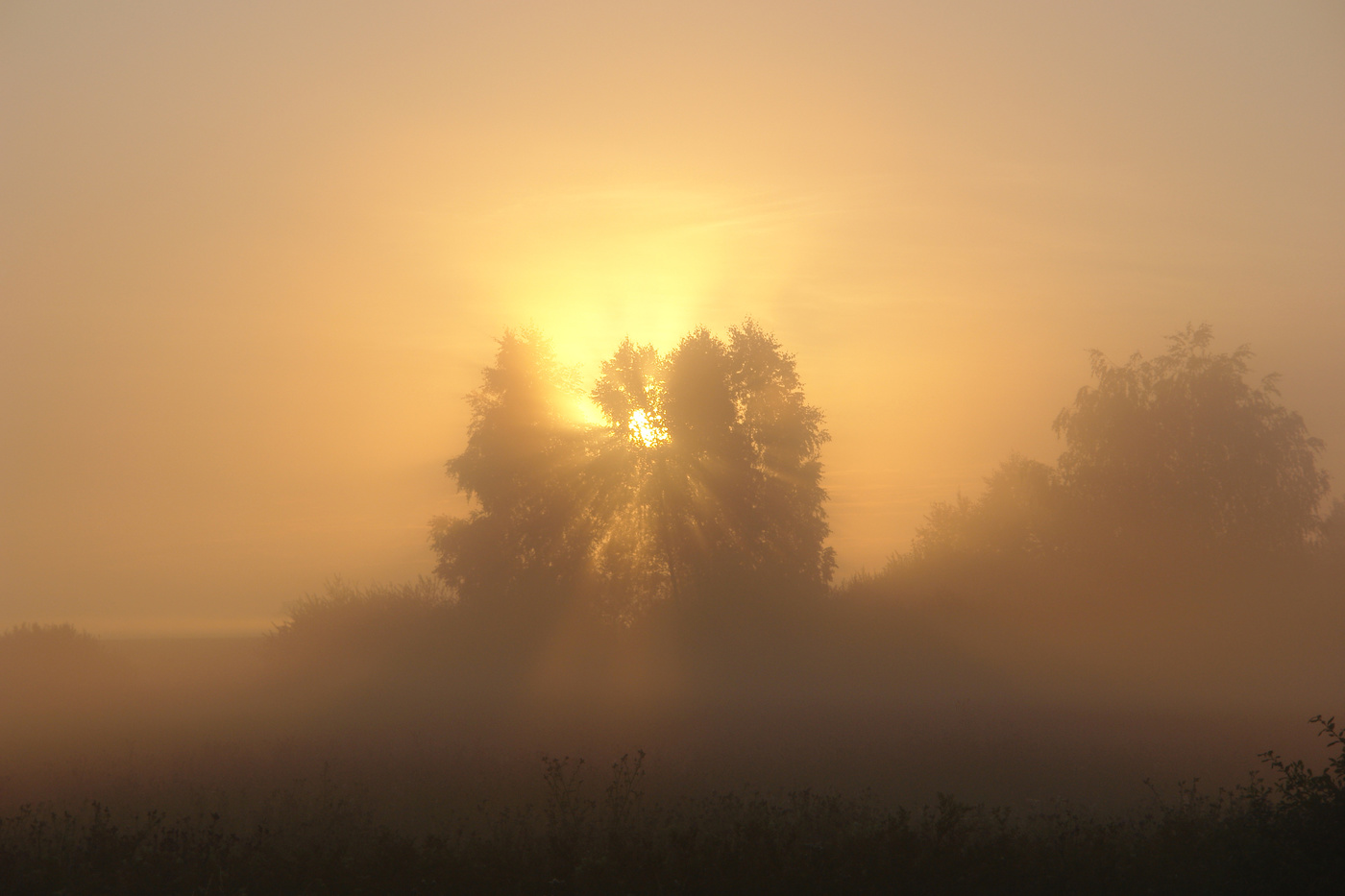 Лучистый рассвет