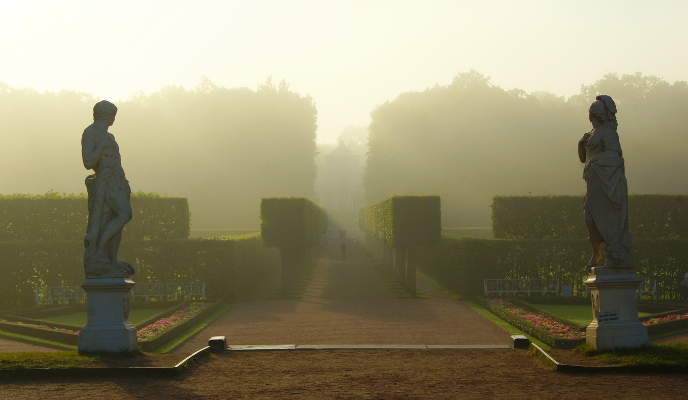 Туманное утро