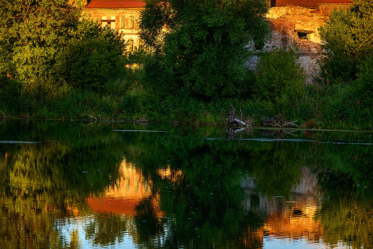 Старый пруд...