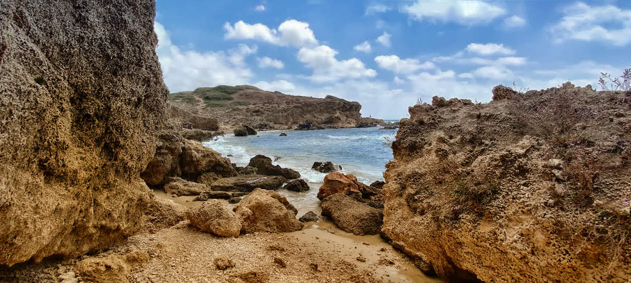 Прогулка к морю