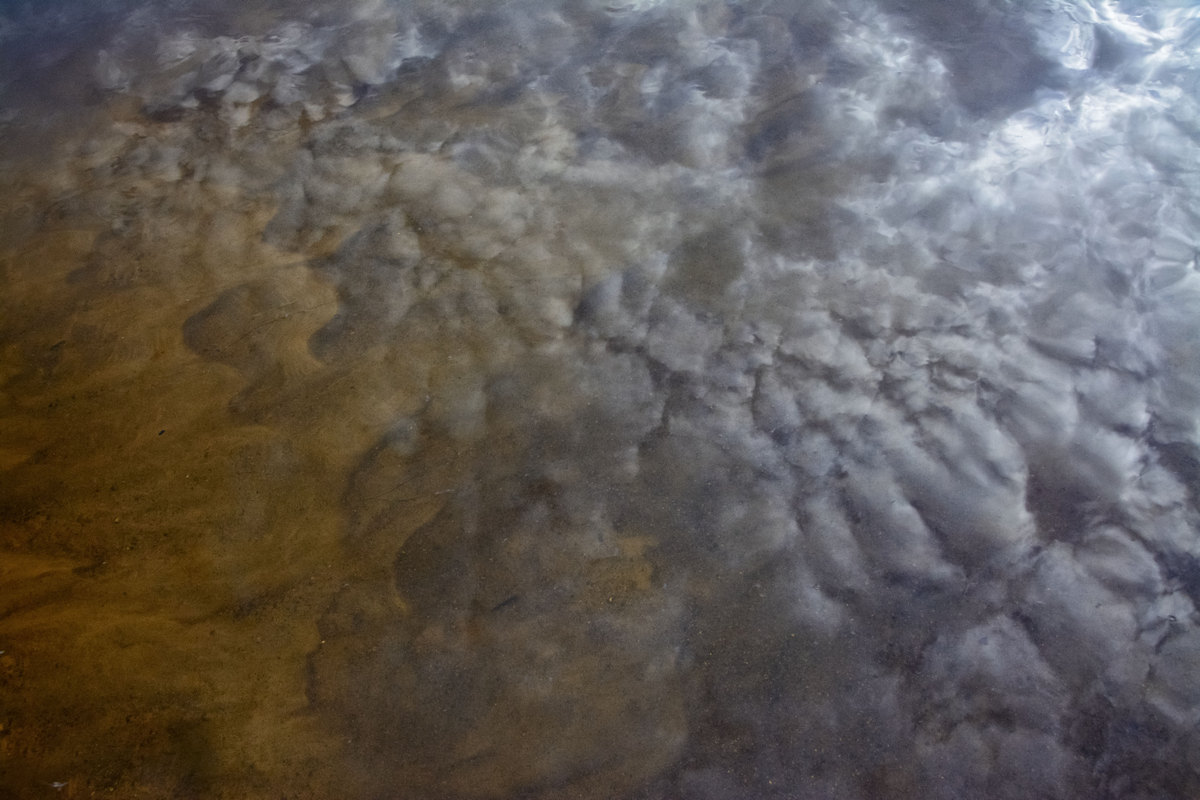 Орбитальная