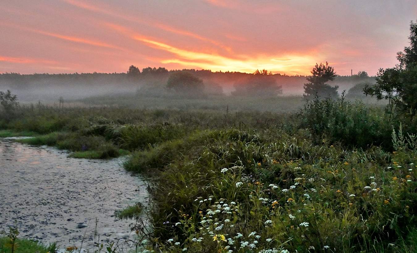 Вечер туманный
