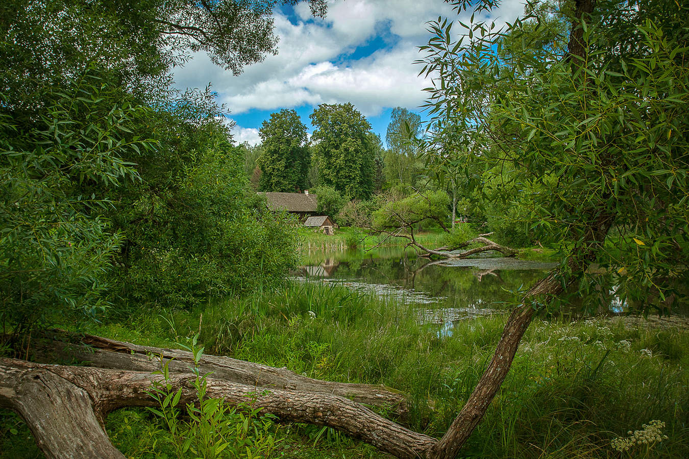 На родине поэта