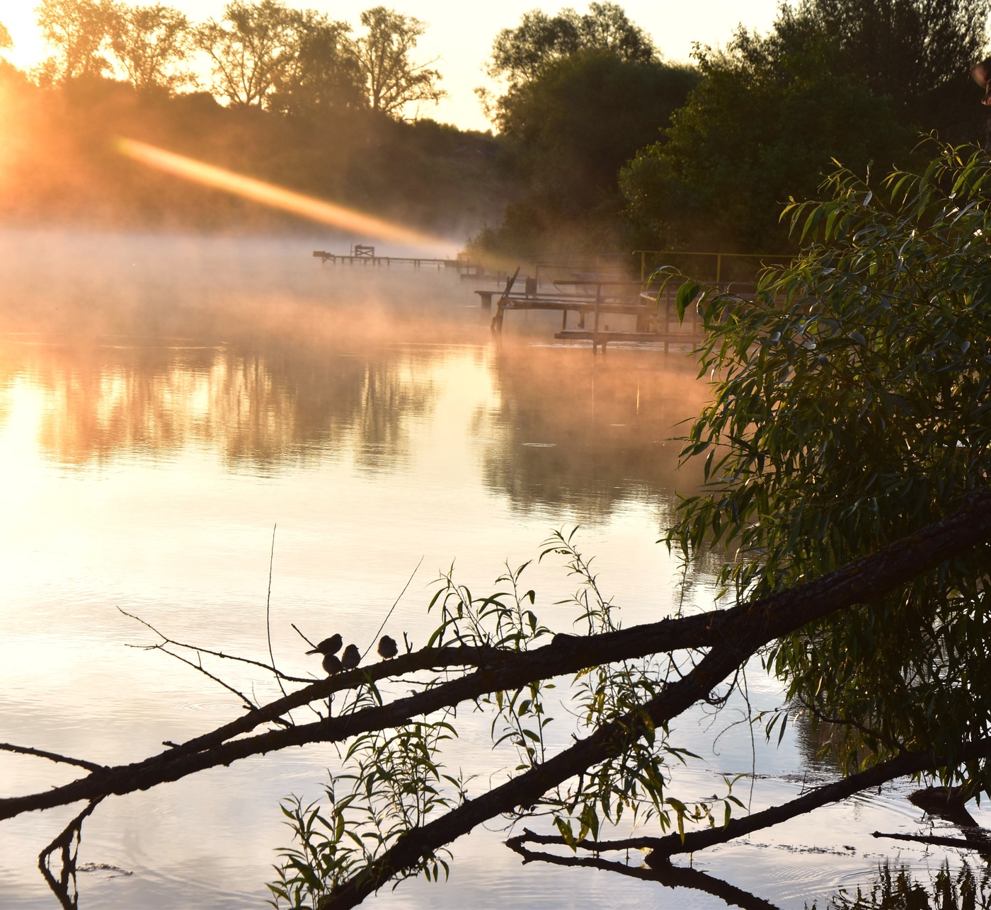 Когда рыбаки спят....