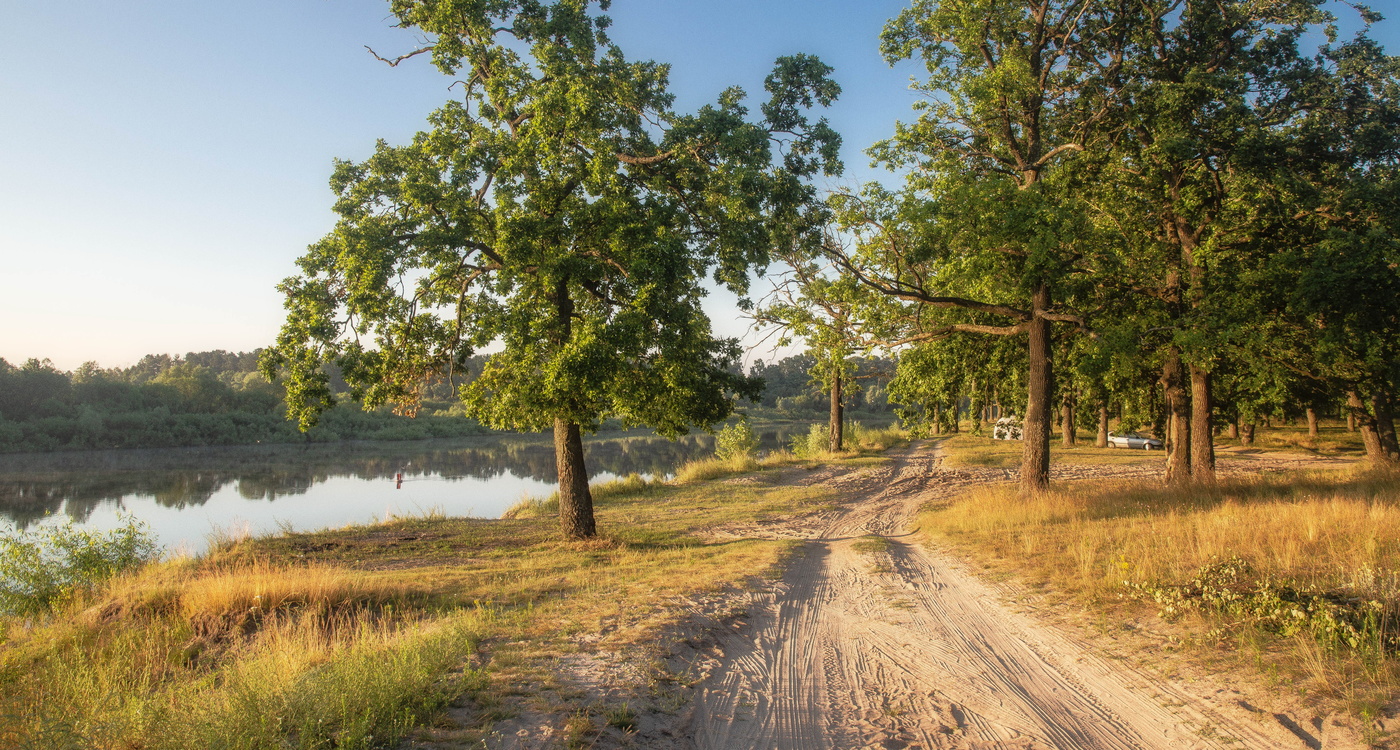 Заблудилось в роще утро...