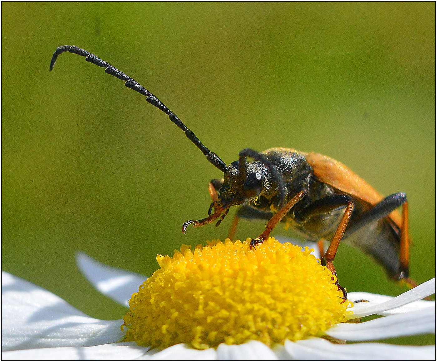 Веселый и солнечный день.