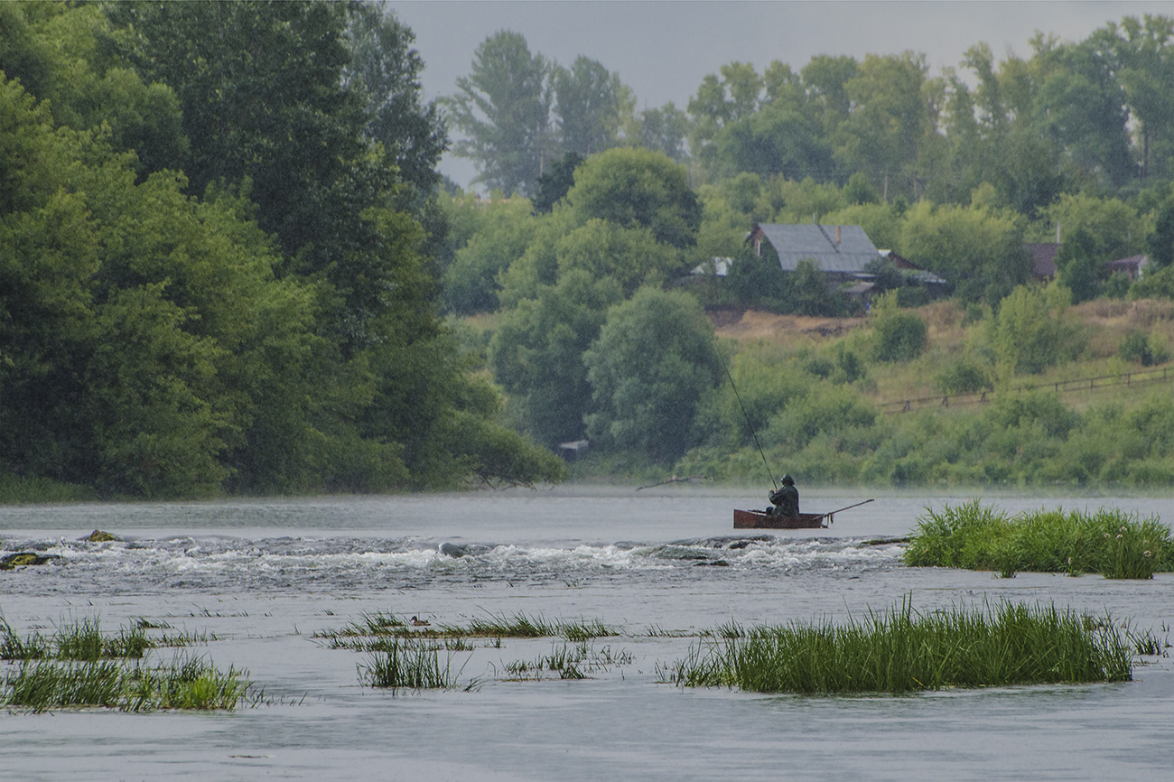 Дон в районе Куликовки - 2