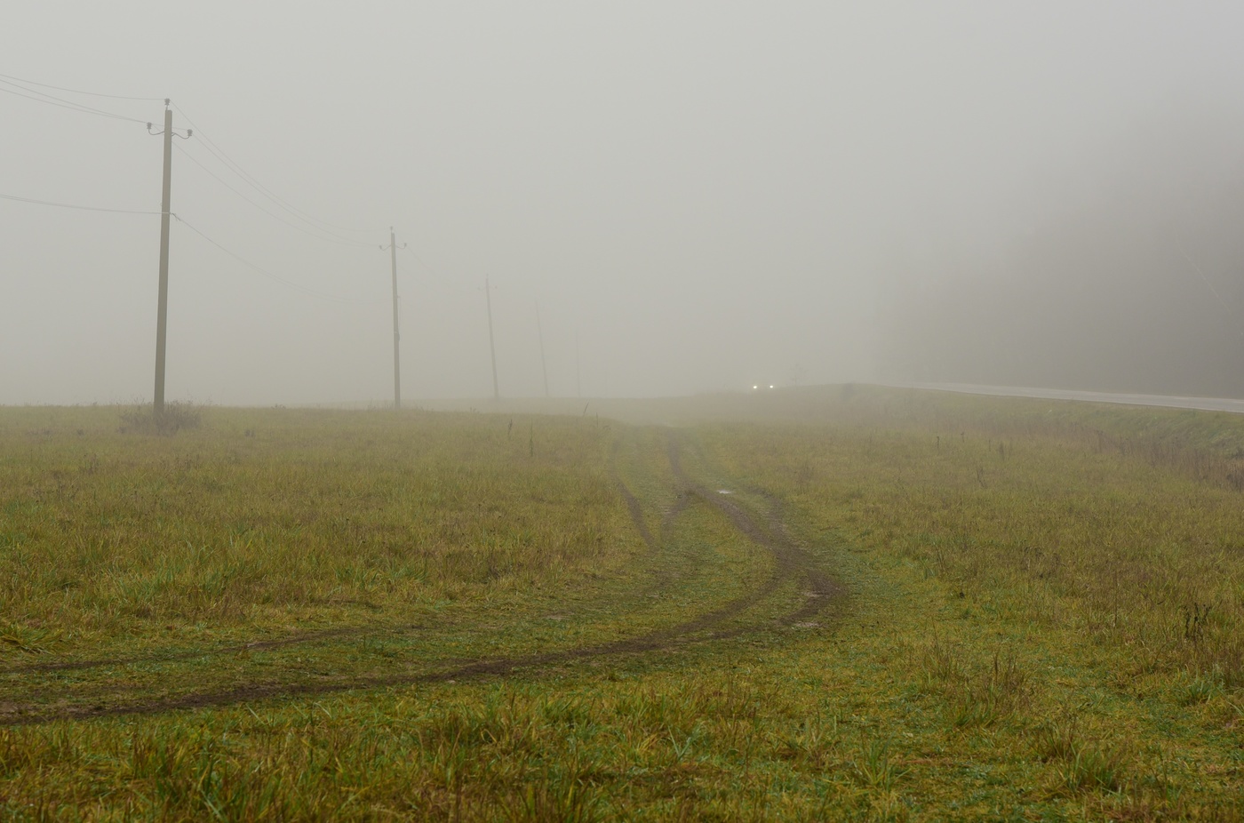 "Туман укрыл окрестность покрывалом ..."