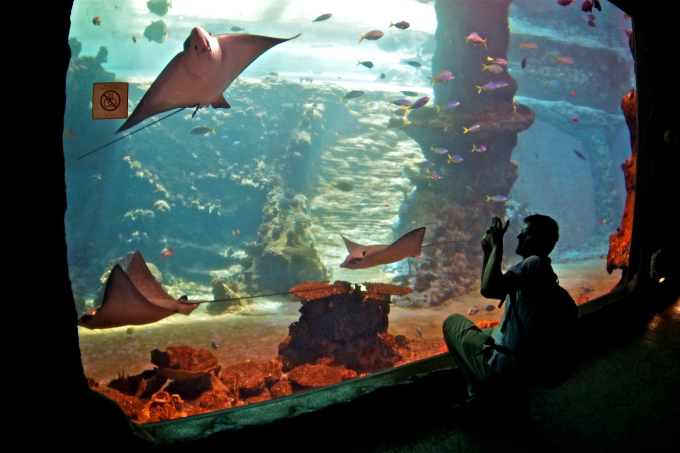 Вроцлавский океанариум