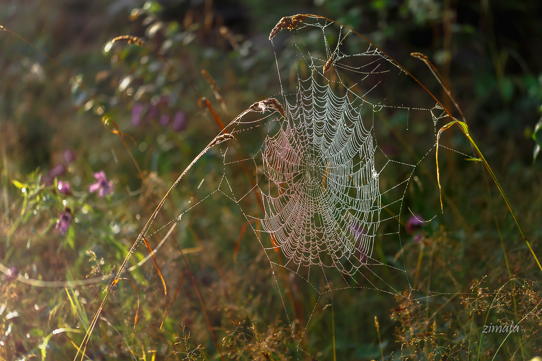 осеннее дыхание
