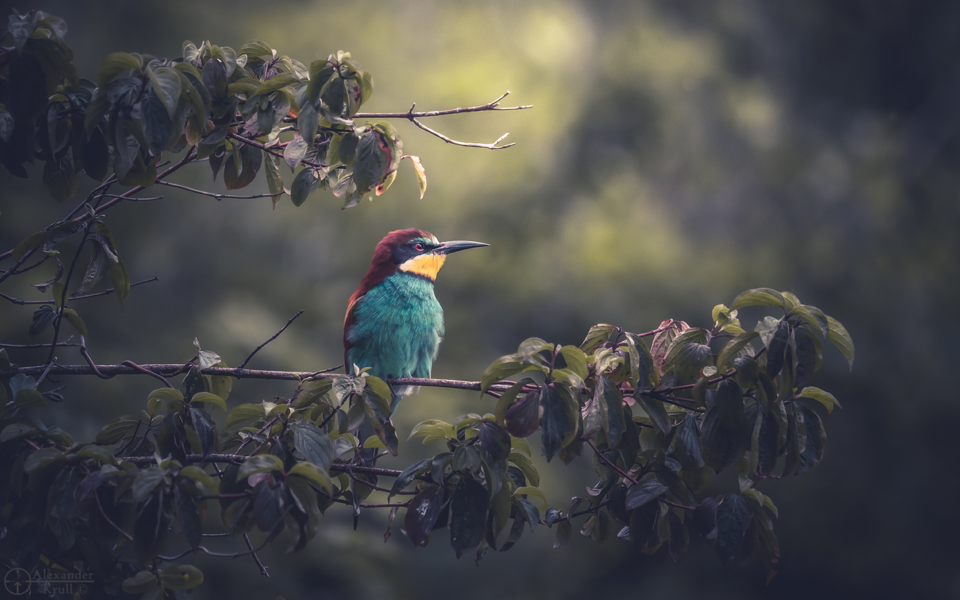 После трудов праведных...