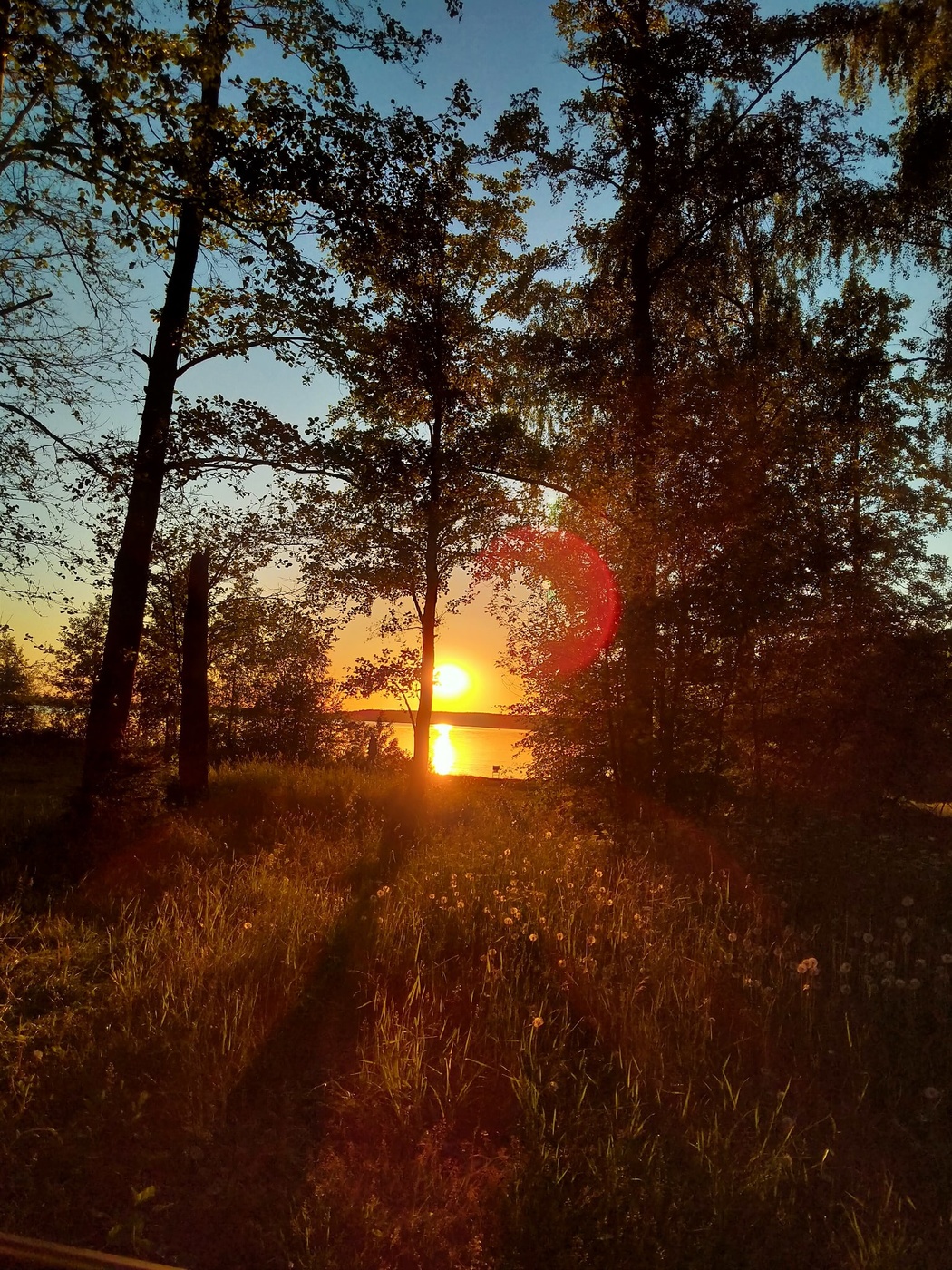 летний вечер