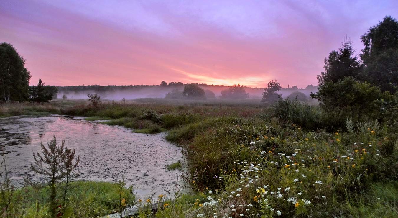 Вечерняя заря в тумане