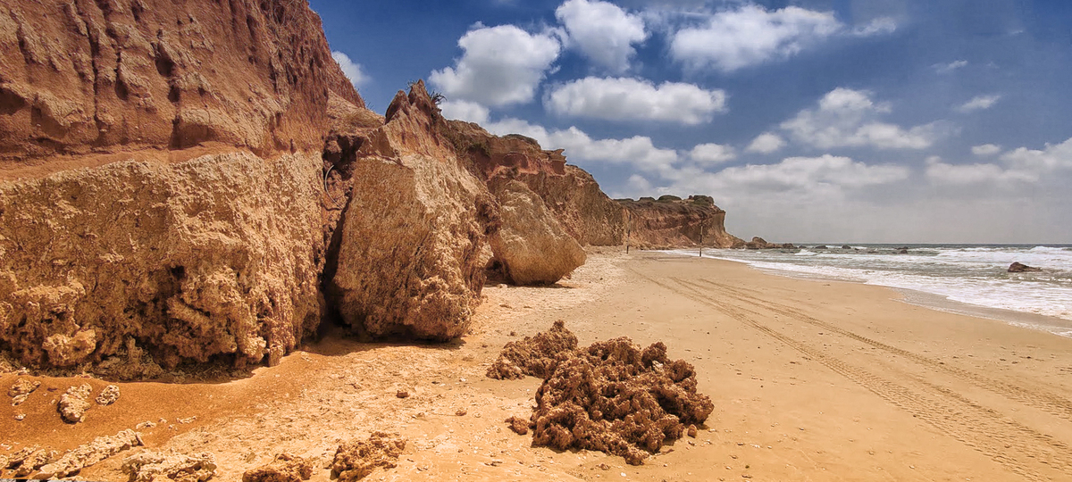 Каменистый берег