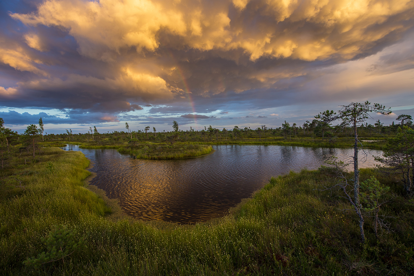 И пролилась тучка радугой