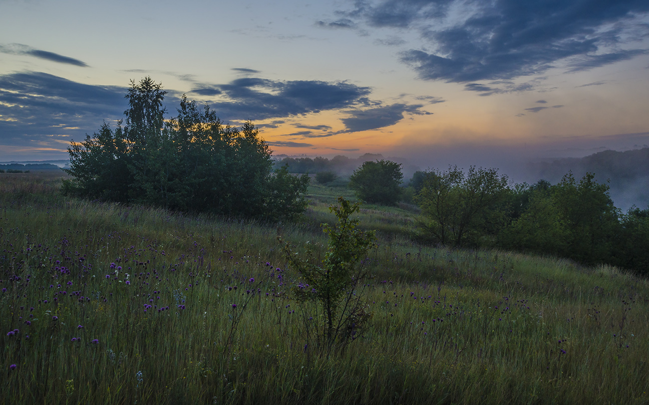 Там, где будет новый день