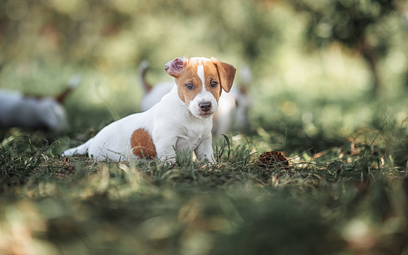 Я думала они никогда не остановятся...)