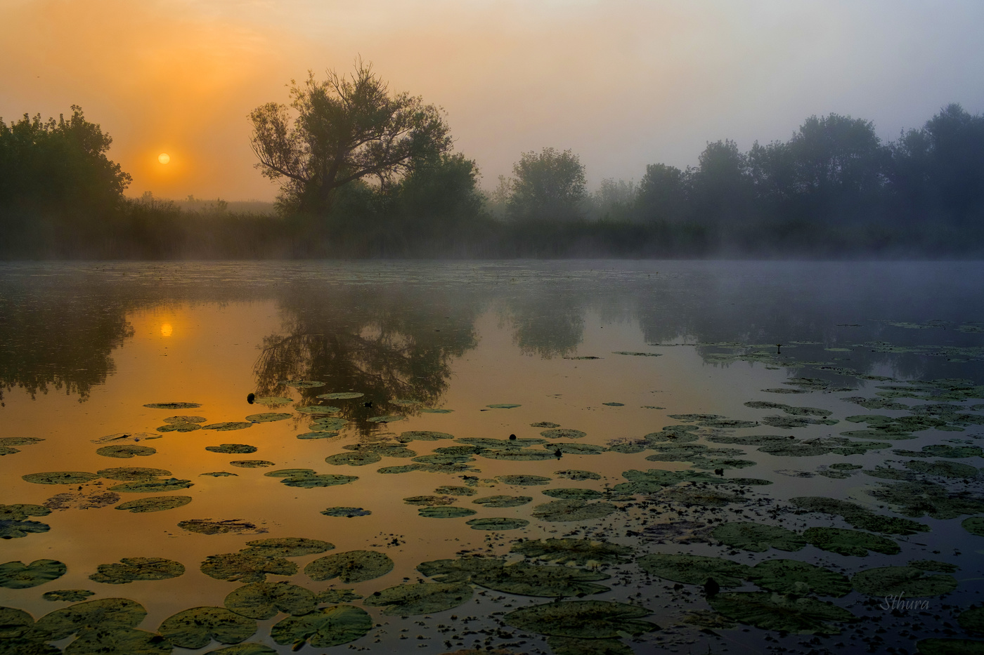 Солнце встало.