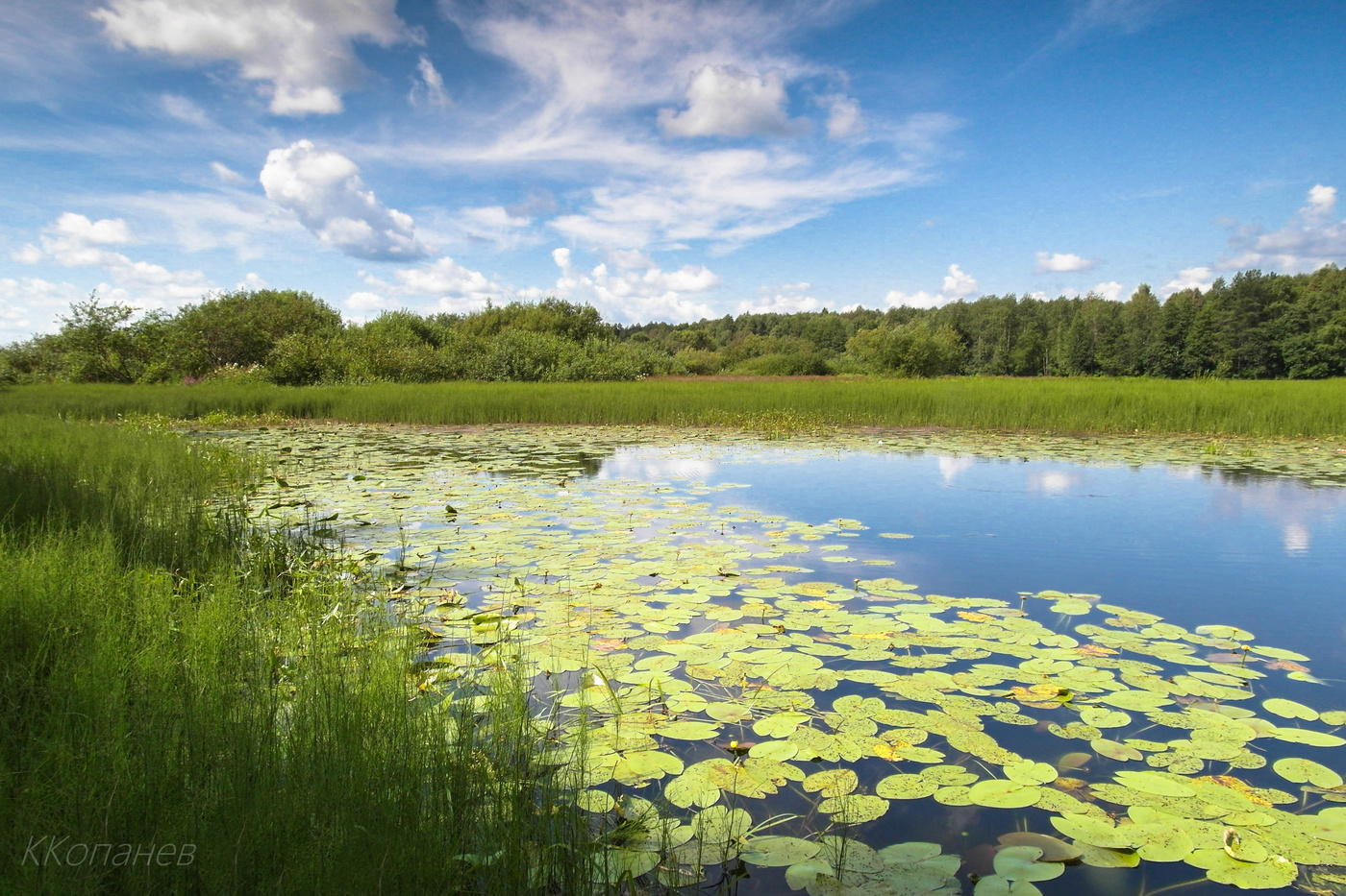 В тихой заводи