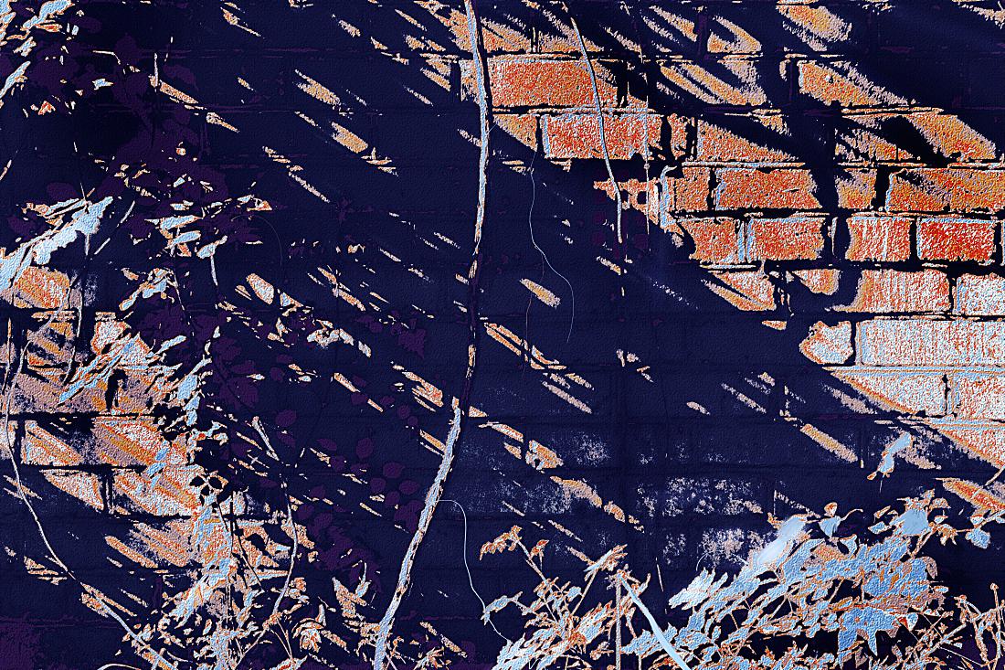 синие тени. август