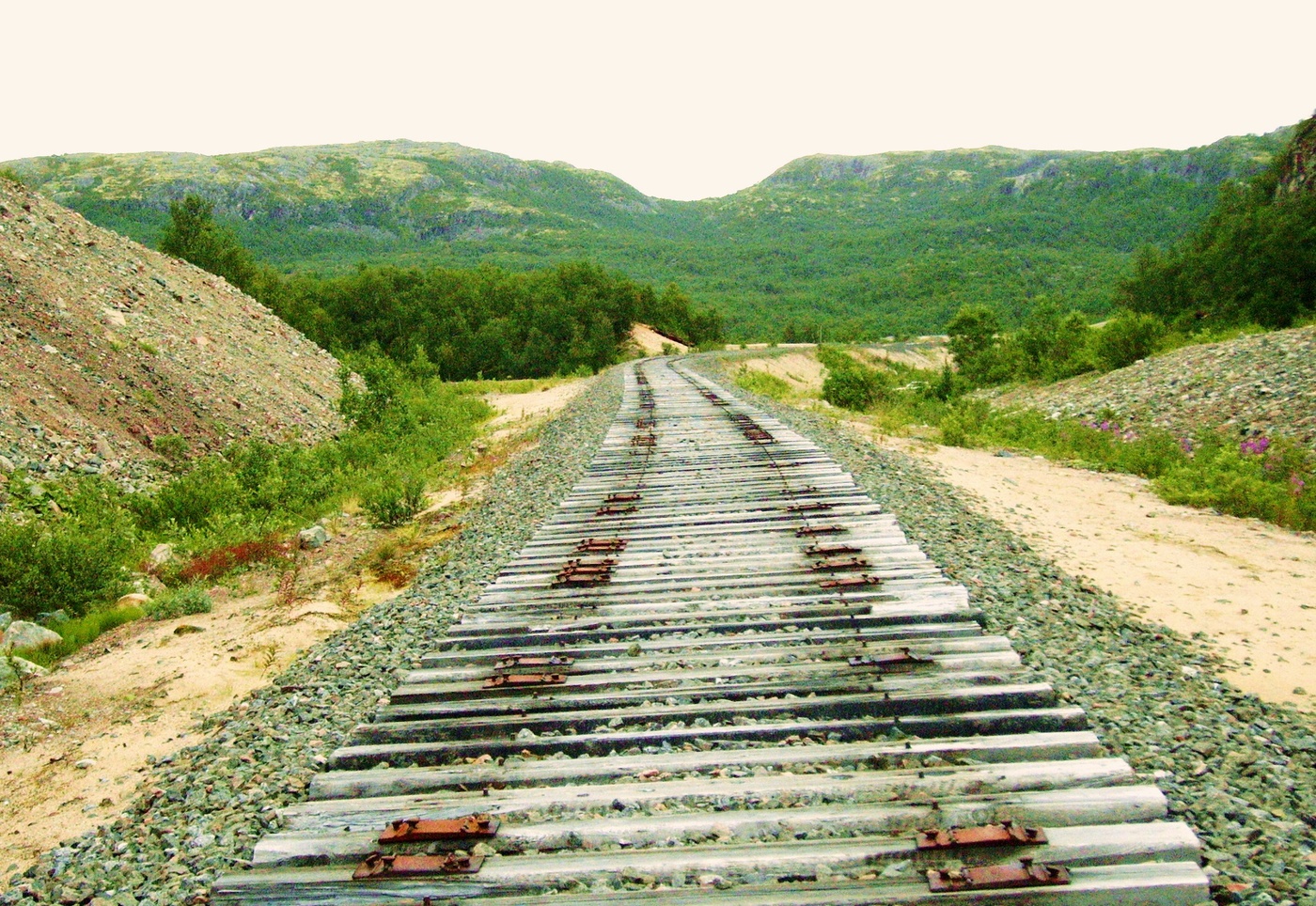 Россия. Воруют ((