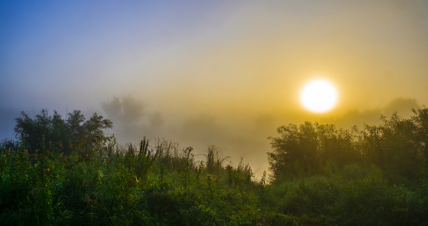 Утро туманное.