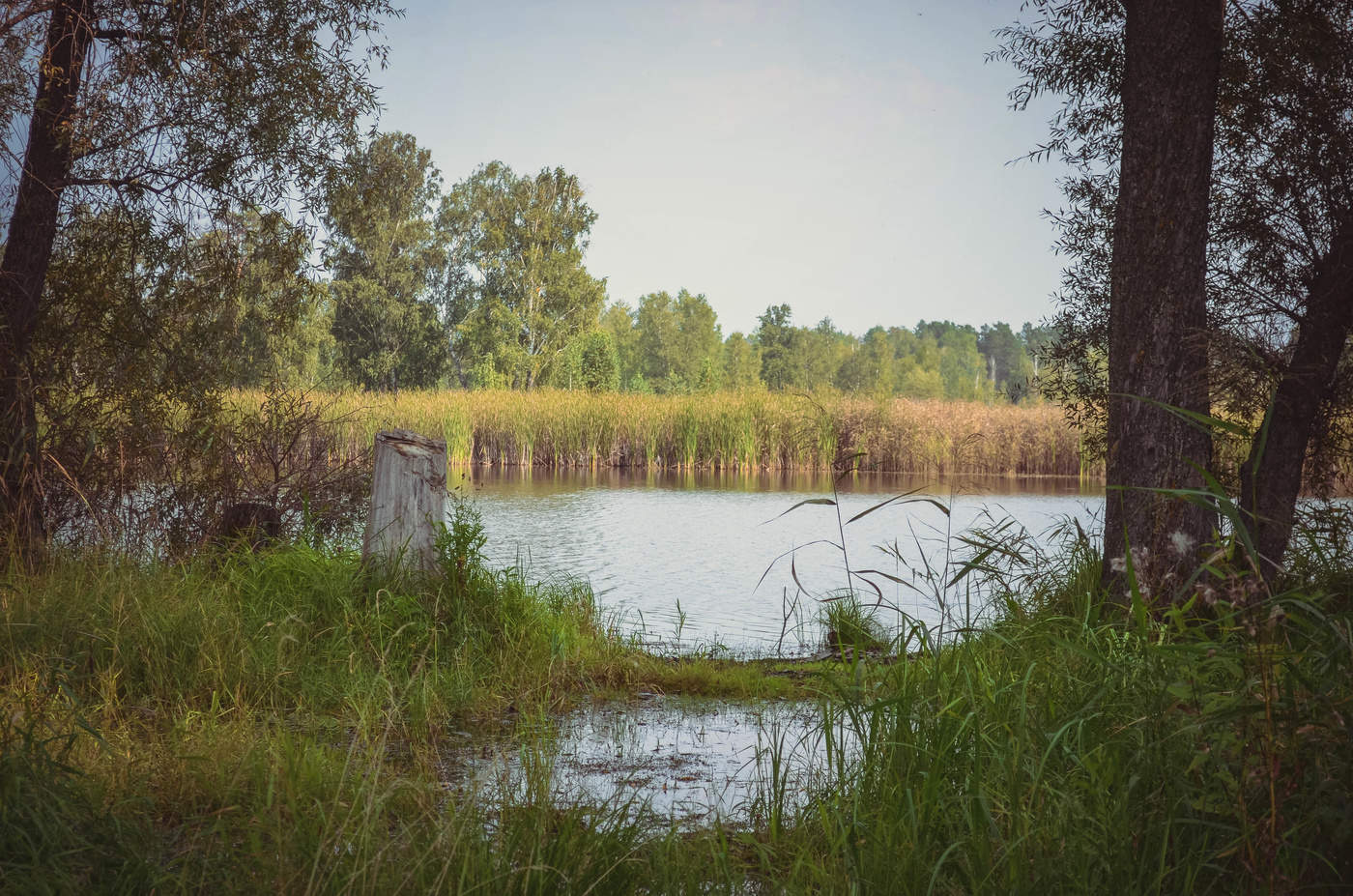 На берегу озера