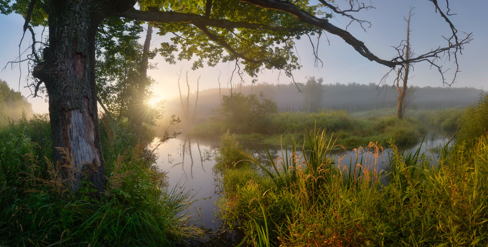 Волшебный мир реки Воронки