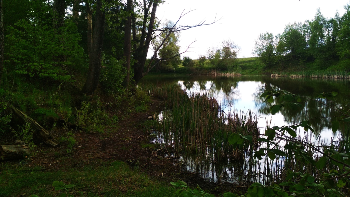 вечер на старом пруду 2