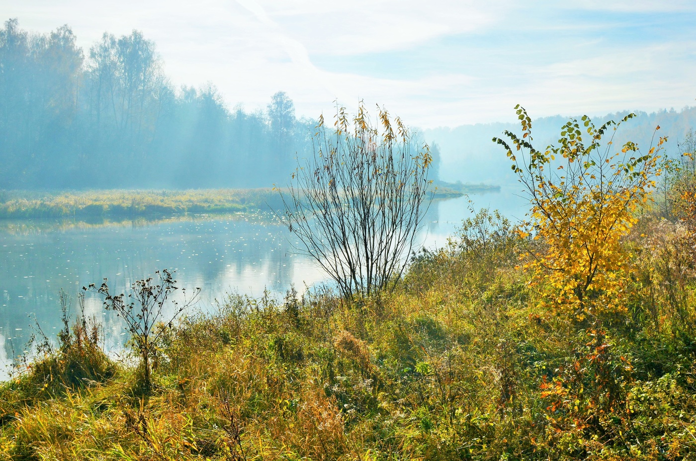"Ах, осень, мое упоенье, моя золотая печаль ..."