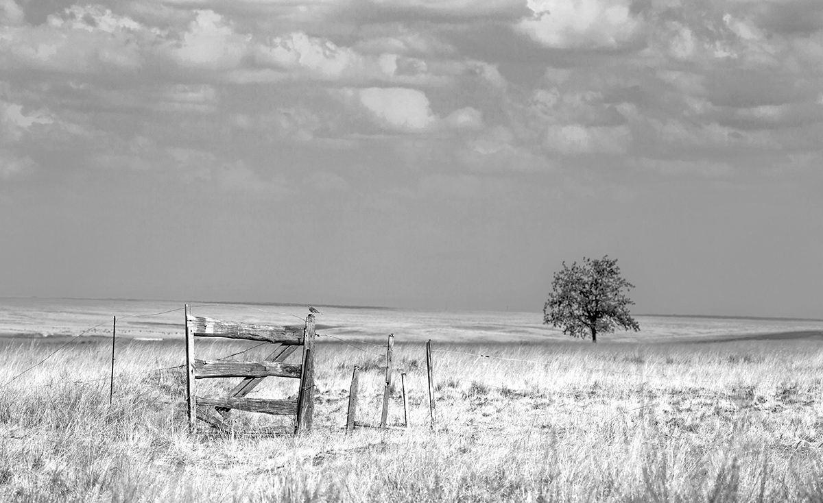 Ворота в никуда