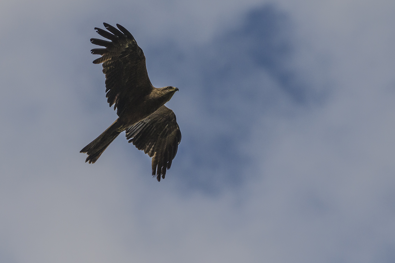 Властелин небес