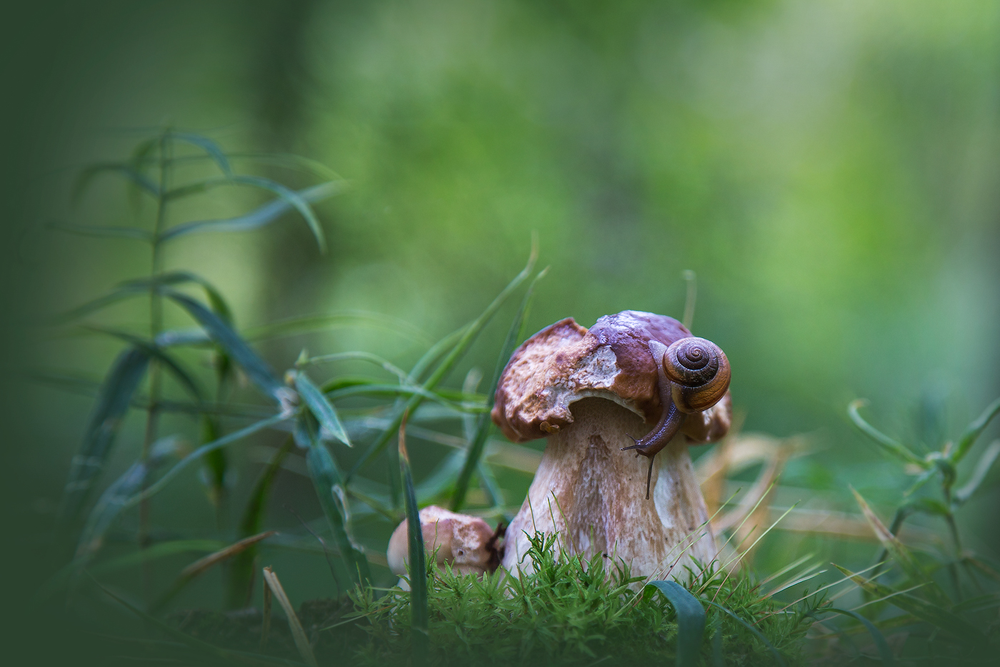 Не съем, так хоть понадкусываю