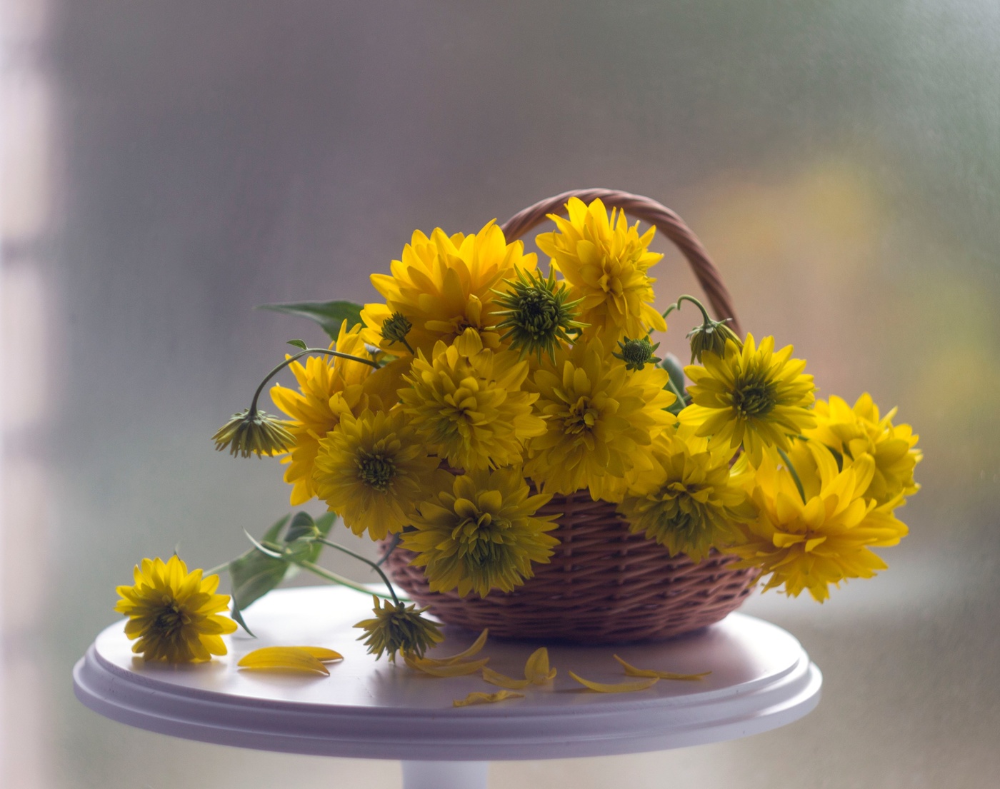 Почти осеннее утро