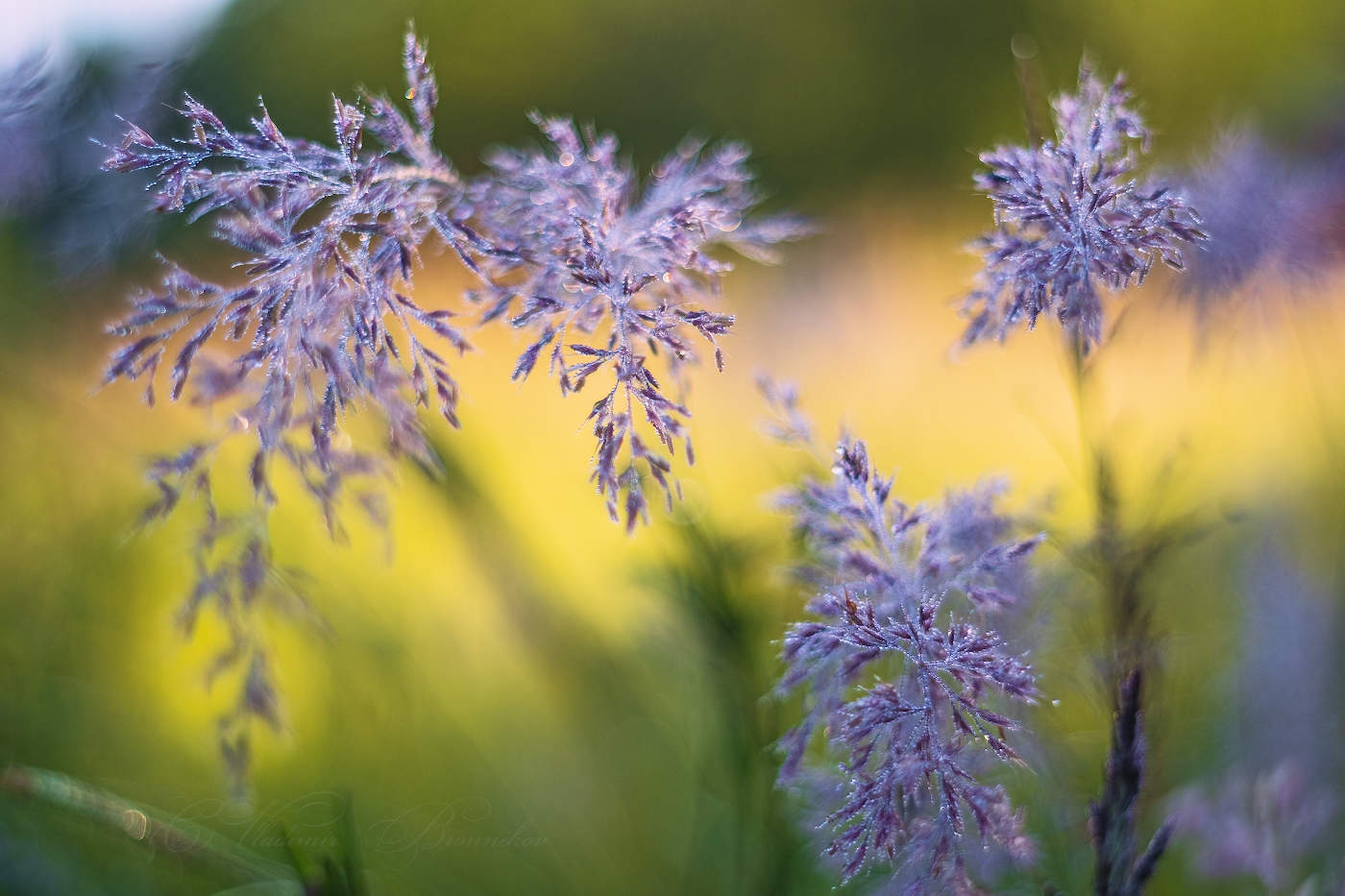 Природный хрусталь