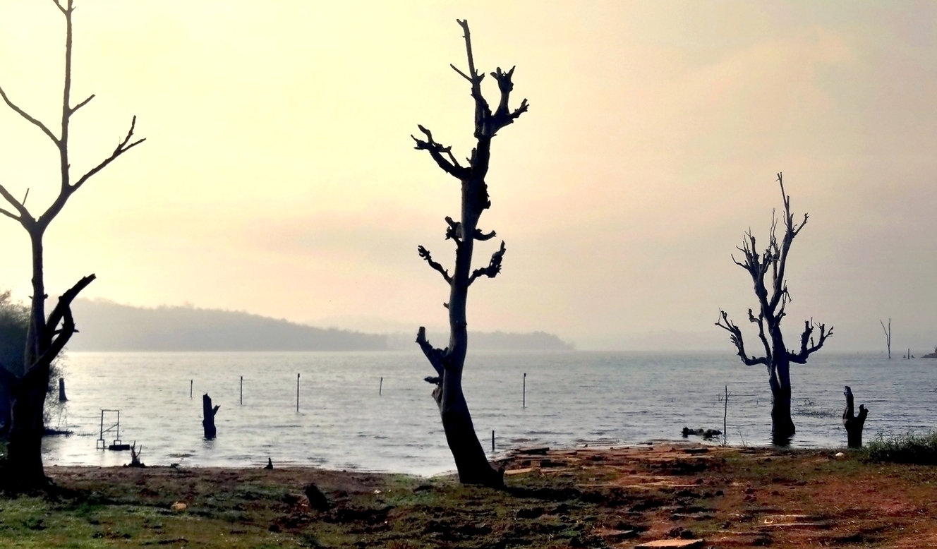 Где то в затерянном мире