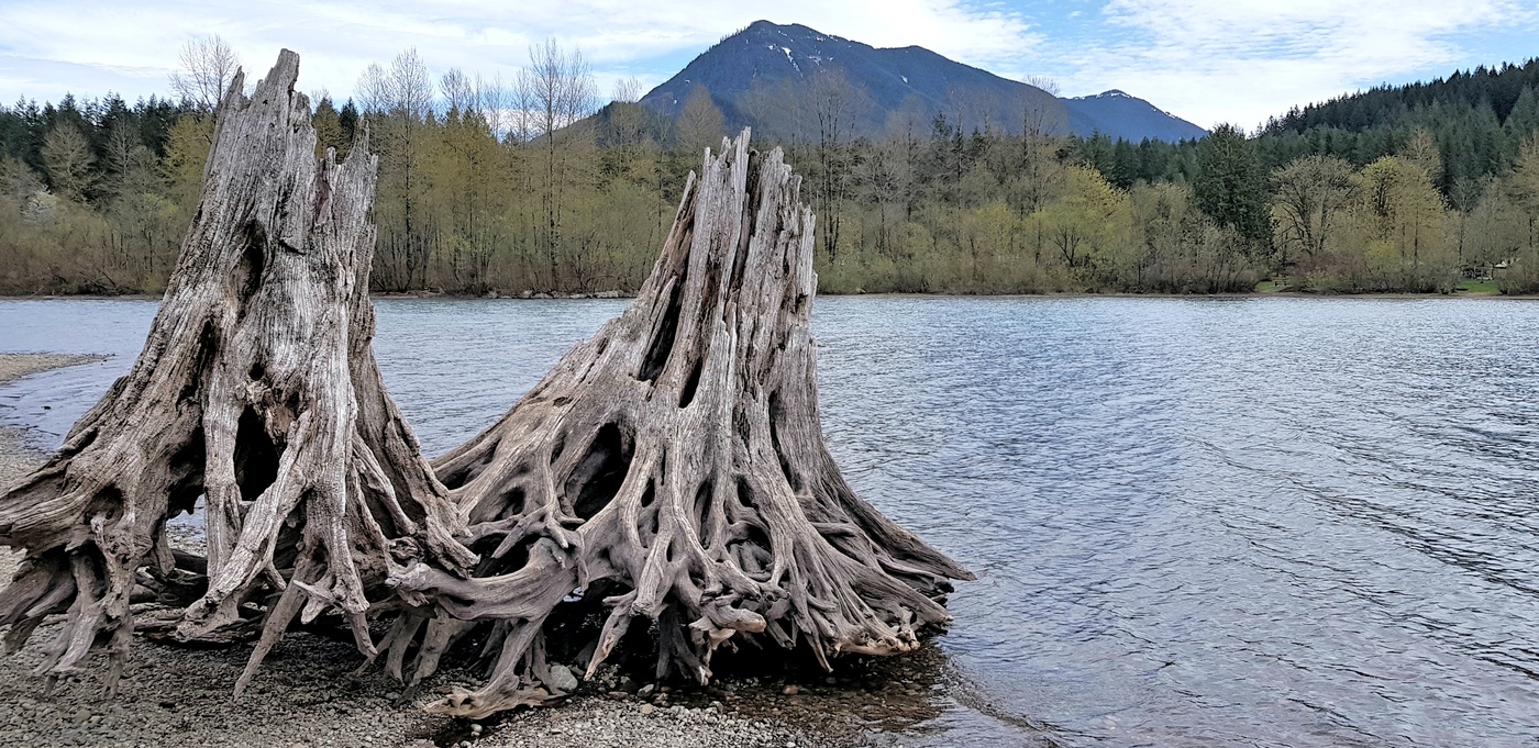 Неразлучные...