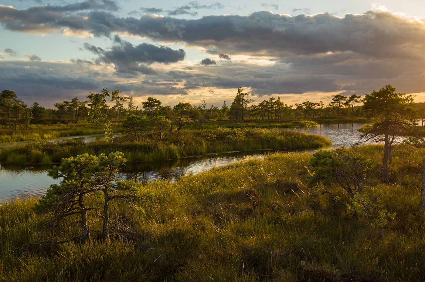 Никогда не стать большими